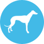 icon-greyhound
